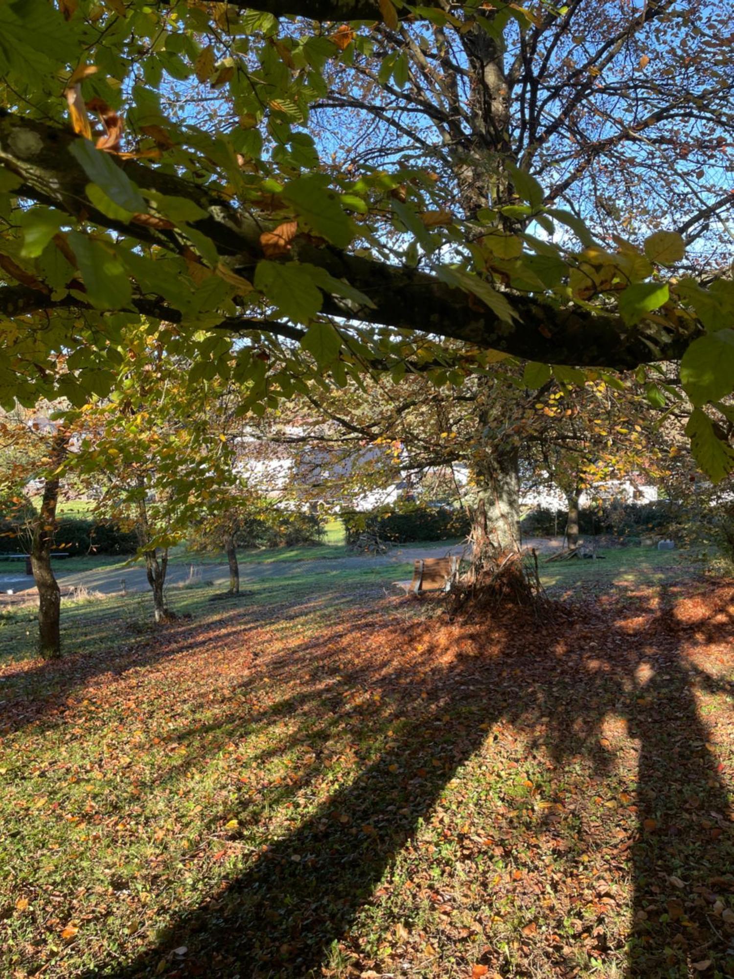 Naach Mattes Villa Blankenheim  Buitenkant foto