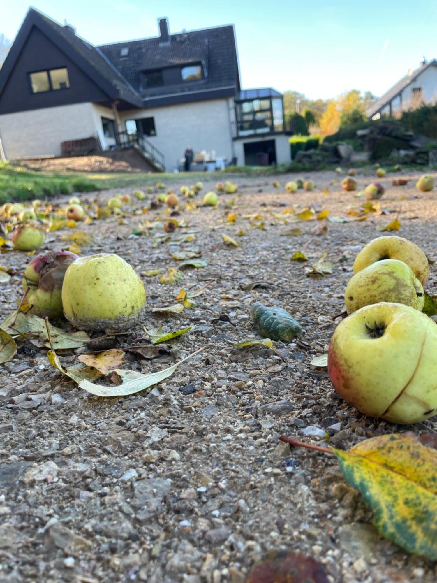 Naach Mattes Villa Blankenheim  Buitenkant foto